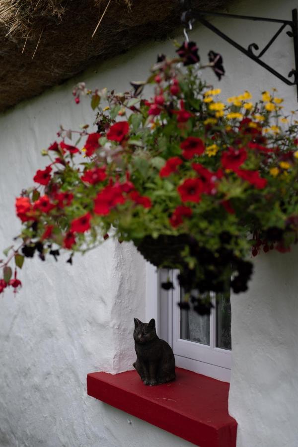 Keenaghan Cottage ベリーク エクステリア 写真