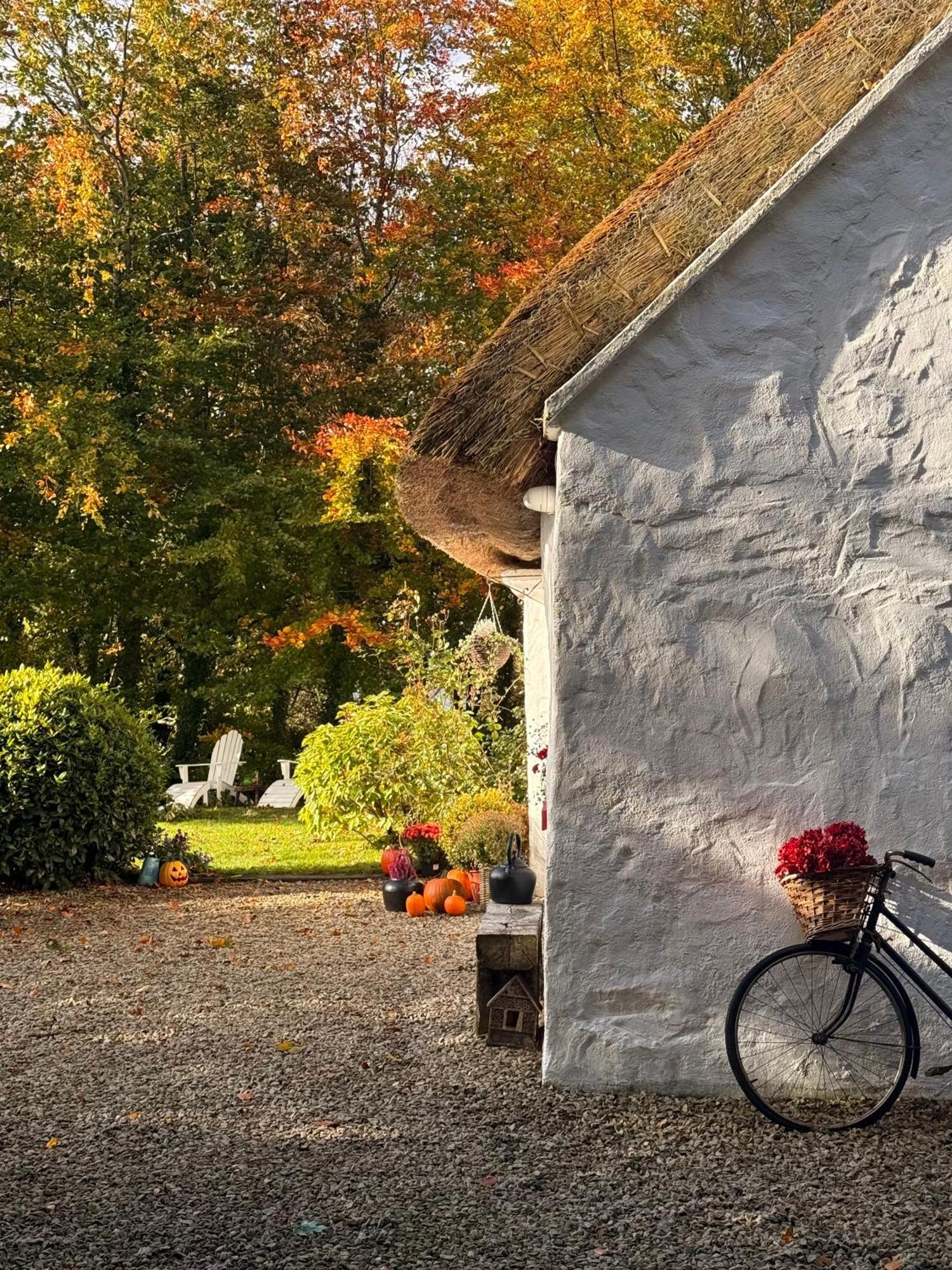 Keenaghan Cottage ベリーク エクステリア 写真